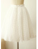 Ivory Dotted Tulle Knee Length Skirt